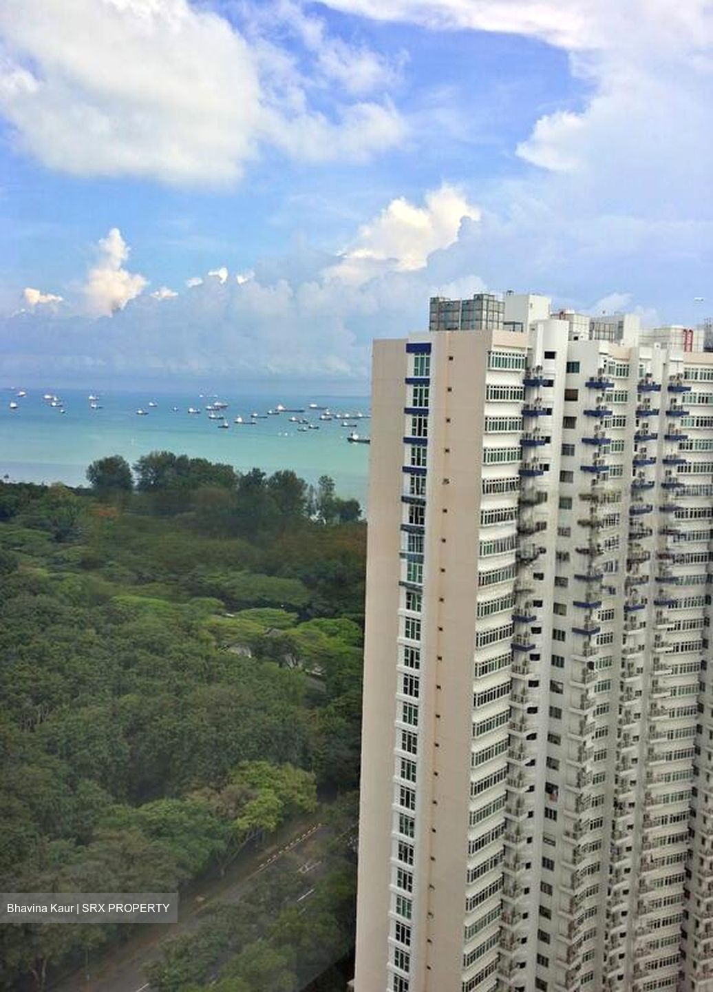 The Bayshore (D16), Condominium #481631611